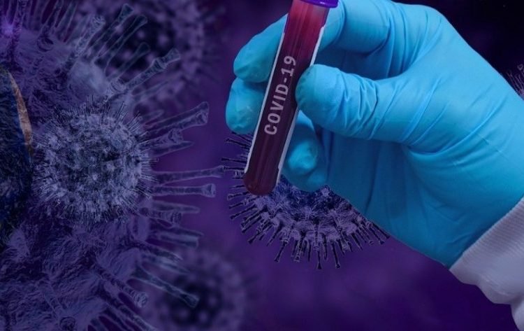 Mais 274 mortes e 15.333 casos confirmados em Portugal no último dia. É um novo recorde