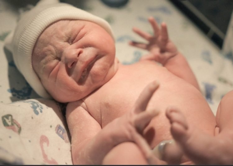 Portugal registou o ano passado o valor mais baixo de nascimentos desde 2015