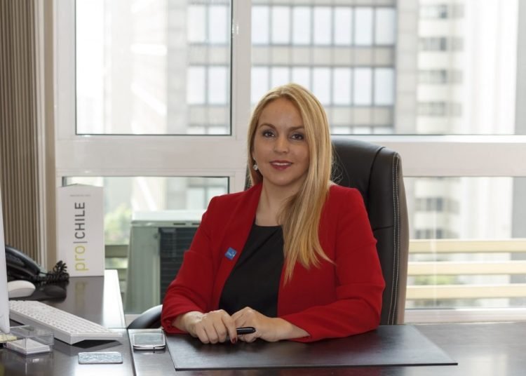 Exportação de vinho chileno ao Brasil cresce 19% no período de janeiro a outubro de 2020