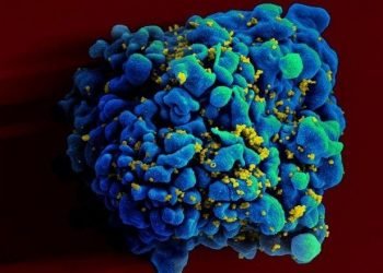 Vacina promissora contra HIV é testada em humanos