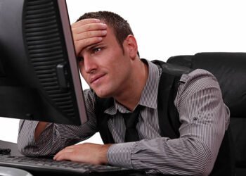 Alguns pontos a reter do Visto CPLP que “já está online” e “com grande afluência”
