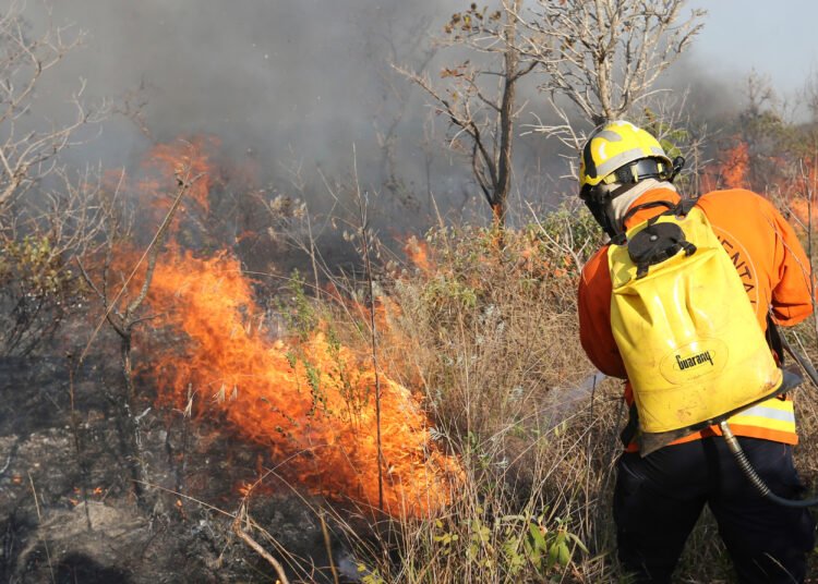 Incêndio na Madeira Continua a Alastrar-se com Frentes Ativas em Ribeira Brava e Câmara de Lobos