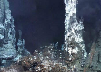 Mineração em Mar Profundo: Conceitos e Impactos