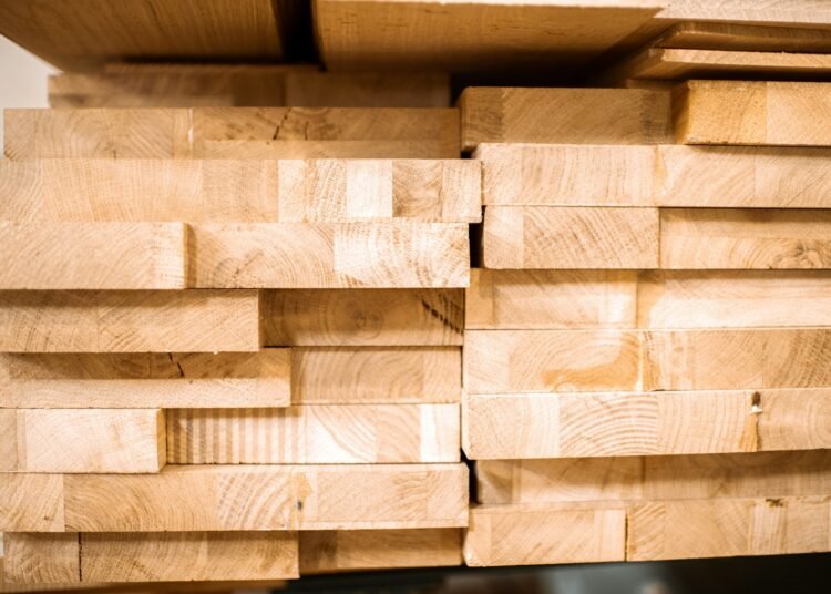 Investigação revela comércio ilegal de madeira Russa em Portugal