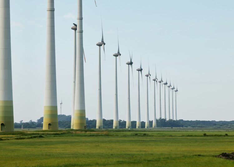 Portugal avança para a neutralidade carbónica