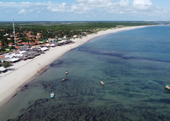 Cajueiro da Praia_Crédito Thiago Amaral