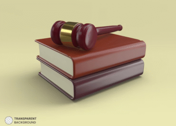 Nove detidos por fraude financeira