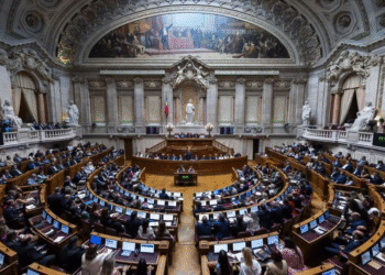 Parlamento debate combate aos incêndios após 250 mil hectares ardidos