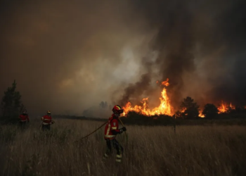 Governo de Portugal propõe reclusos na limpeza de matas para prevenir incêndios