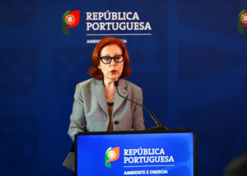 Maria da Graça Carvalho quer Portugal na linha da frente da proteção e valorização dos oceanos