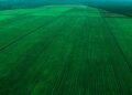Aerial view of vast green fields in Njombe, Tanzania, showcasing organized agriculture.