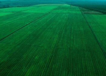 Aerial view of vast green fields in Njombe, Tanzania, showcasing organized agriculture.