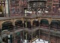 Brasil: Real Gabinete Português de Leitura assinala 50 anos da revista académica “Convergência Lusíada”