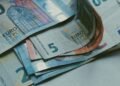 Detailed close-up of various Euro banknotes on a white surface, perfect for finance-related content.