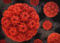 a close up of a red substance on a black background
