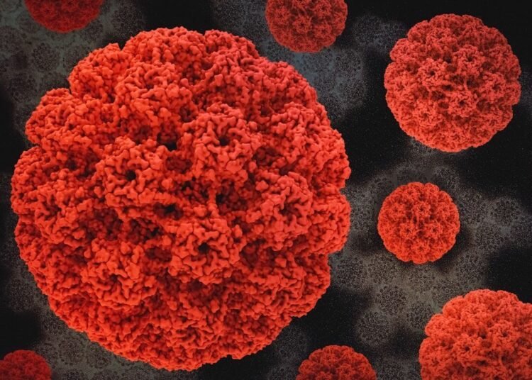 a close up of a red substance on a black background