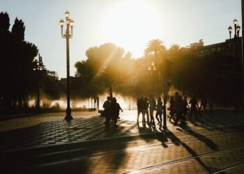 silhouette photo of people at park during golden hour