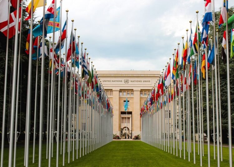 From below of various flags on flagpoles located in green park in front of entrance to the UN headquarters in Geneva