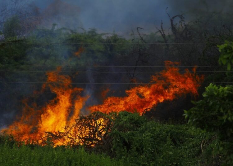 Intense wildfire with flames and smoke consuming forest vegetation.