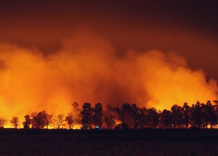 a large fire burning in a field next to a forest