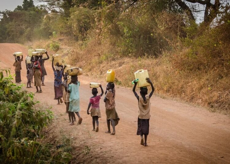 group of people walking at the road carrying containers