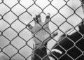 man holding chain-link fence