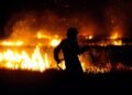 silhouette of man standing on grass field during night time