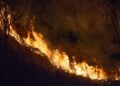 A dramatic night scene of a wildfire spreading through dry grass in São Paulo, Brazil.