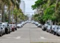 Street lined with parked cars and palm trees