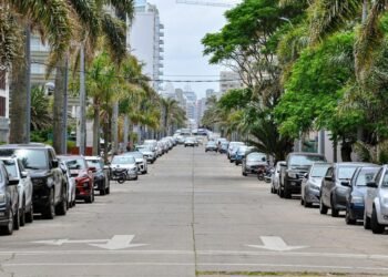 Street lined with parked cars and palm trees